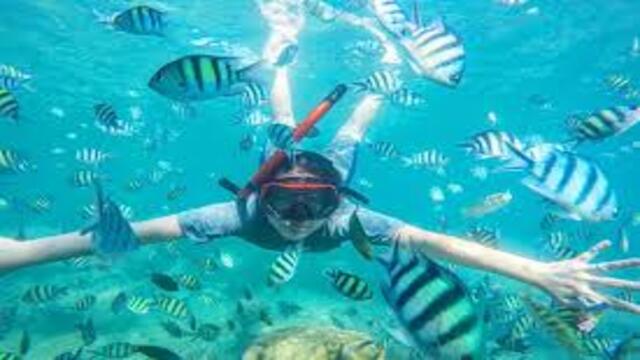 Spot Snorkeling Terindah